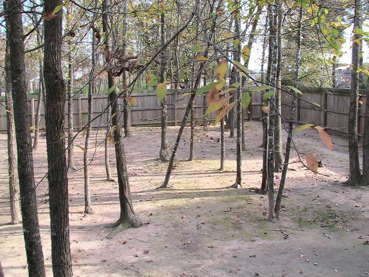 Exercise Yard Pleasant Grove Animal Hospital and Moore Animal Clinic