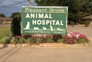 Photo Gallery in Texarkana and New Boston, TX | Pleasant Grove Animal  Hospital and Moore Animal Clinic